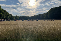 Getreide_anmaehen2024-17