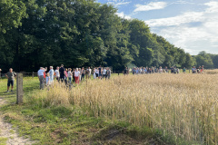 Getreide_anmaehen2024-18