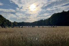 Getreide_anmaehen2024-20